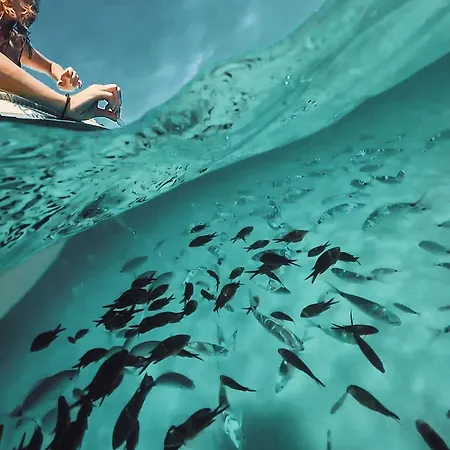 Le Stefania Calaparadiso 150m Dal Mare *