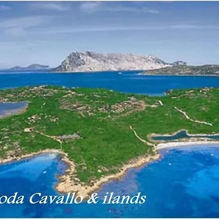 Le Ville Stefania Calaparadiso 150M Dal Mare Villa